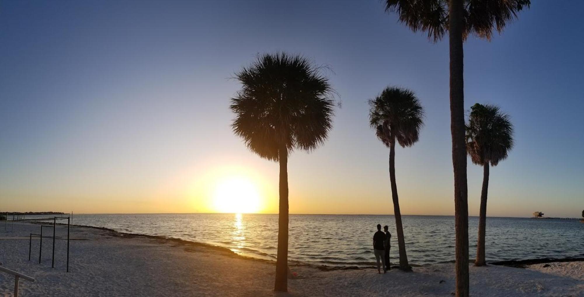 Elegant Studio Apartment In Downtown St Pete - Great Community Events! セント・ピーターズバーグ エクステリア 写真